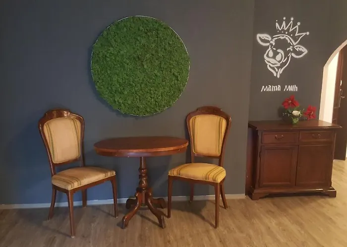 酒店 Mama Muh Self-check-in 林茨